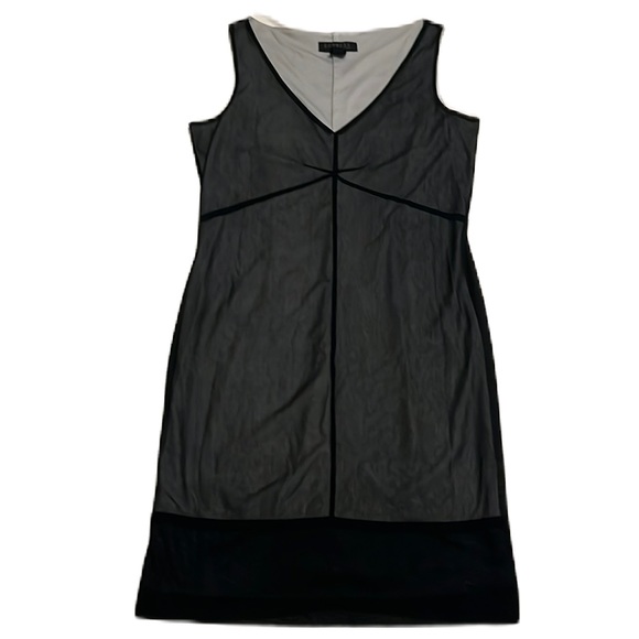 Express Dresses & Skirts - Express, Sleeveless, V-Neckline, Knee Length Dress, Balck/Gray, Size 7/8